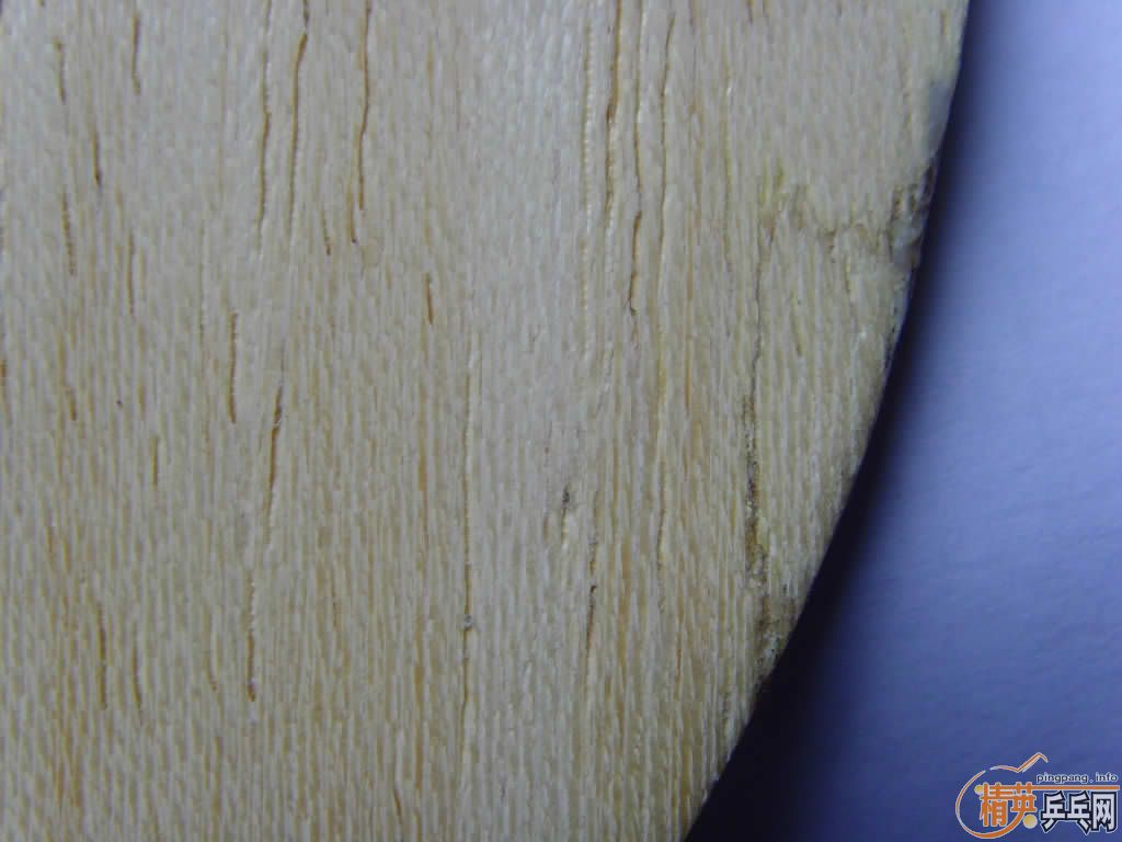 ���������õ�R5