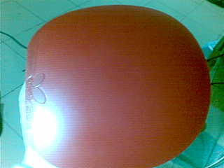 ��������bryce  �����µ�ʡ������ˡ�