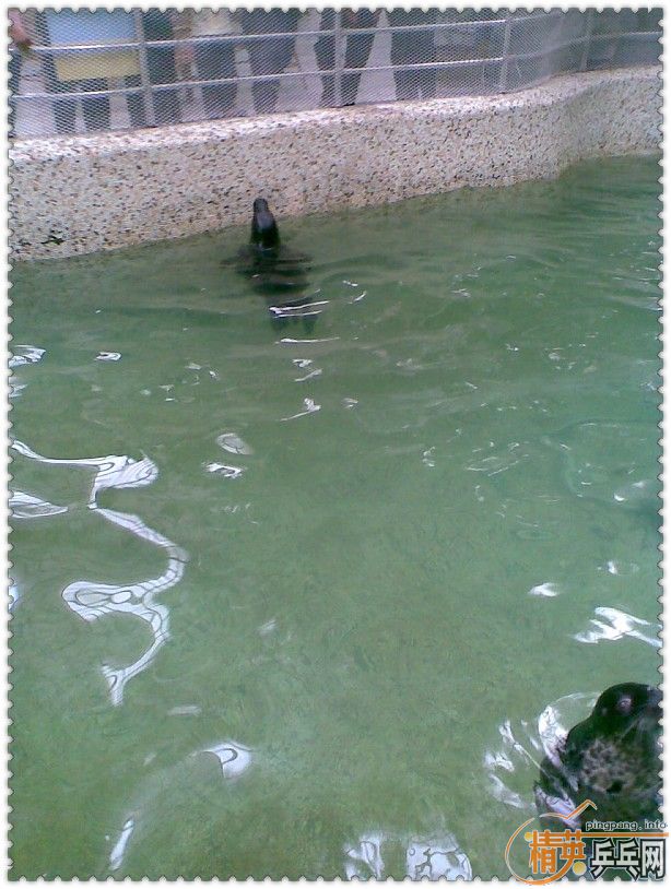 [ͼ]411 21лƬ0932ڻ