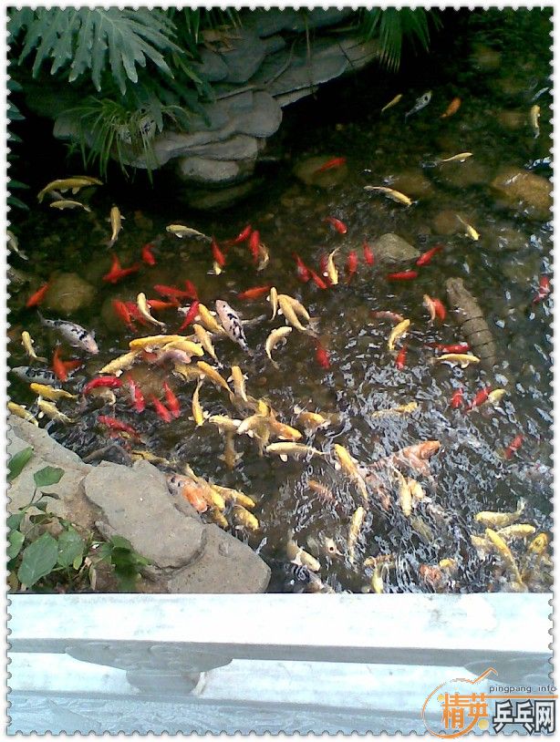 [ͼ]411 21лƬ0932ڻ