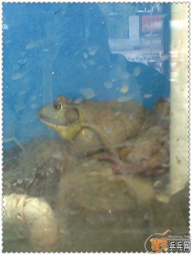 [ͼ]411 21лƬ0932ڻ