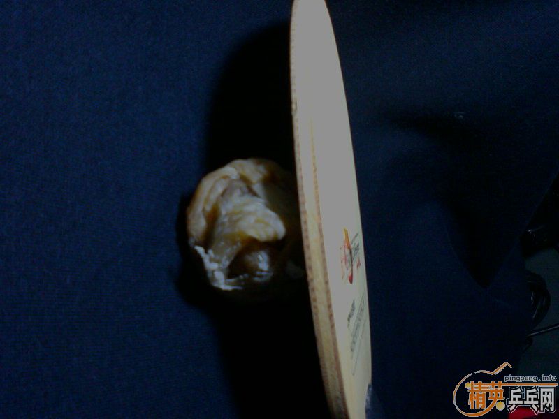 H-wl �� רҵ��׺���39�ȺͰ׽�jo 350