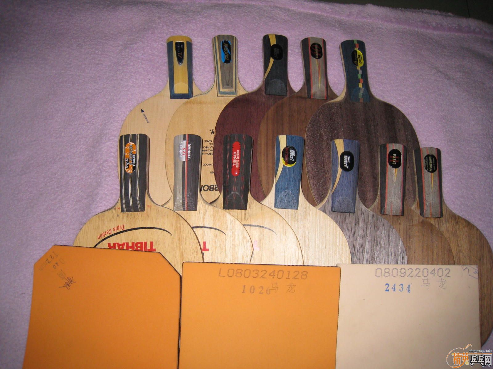 ȫ������