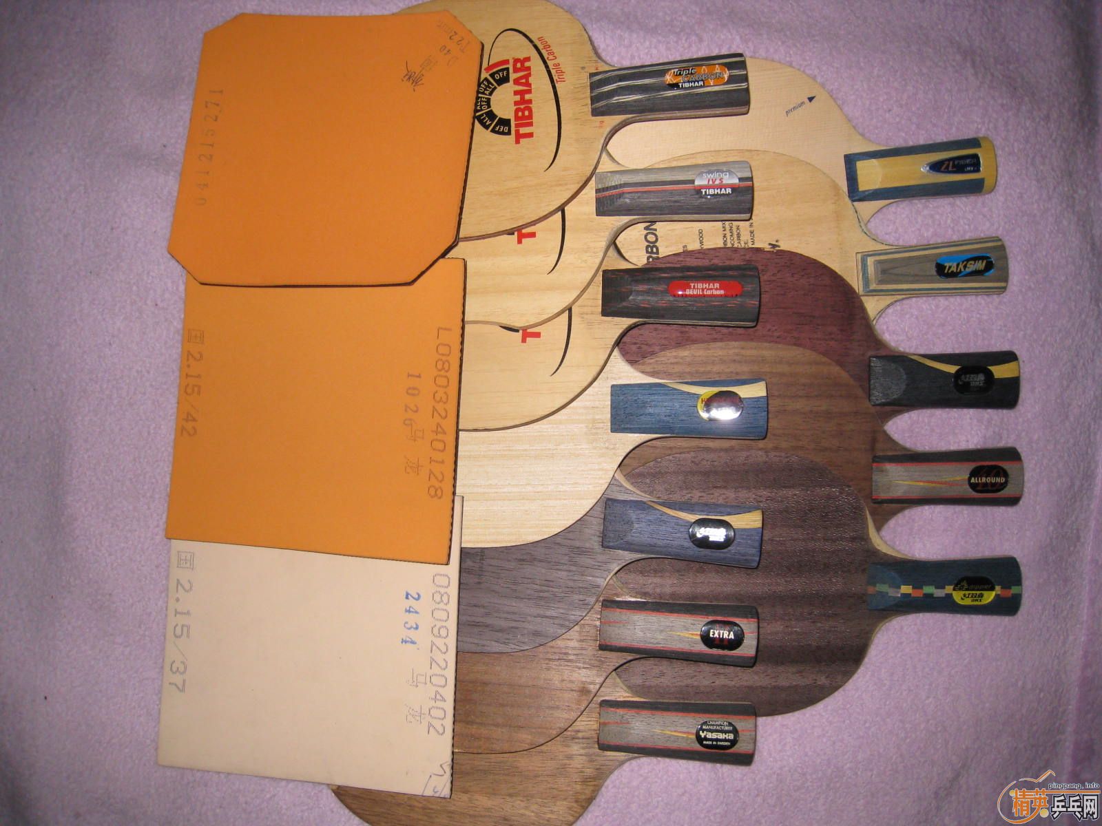 ȫ������