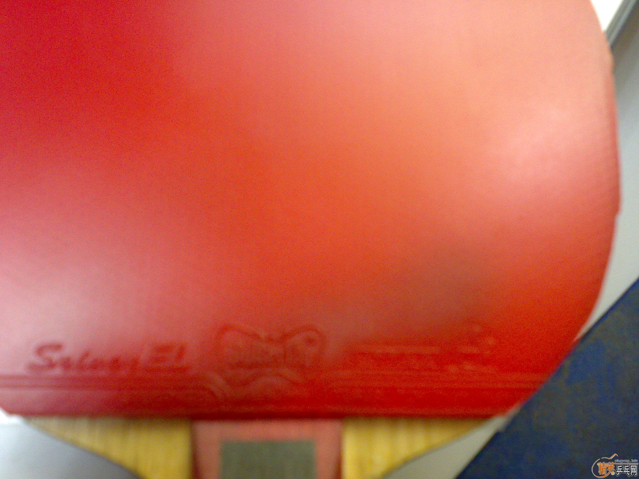 ������-֧������SriverEL 2.1��-����桾105���ʡ�