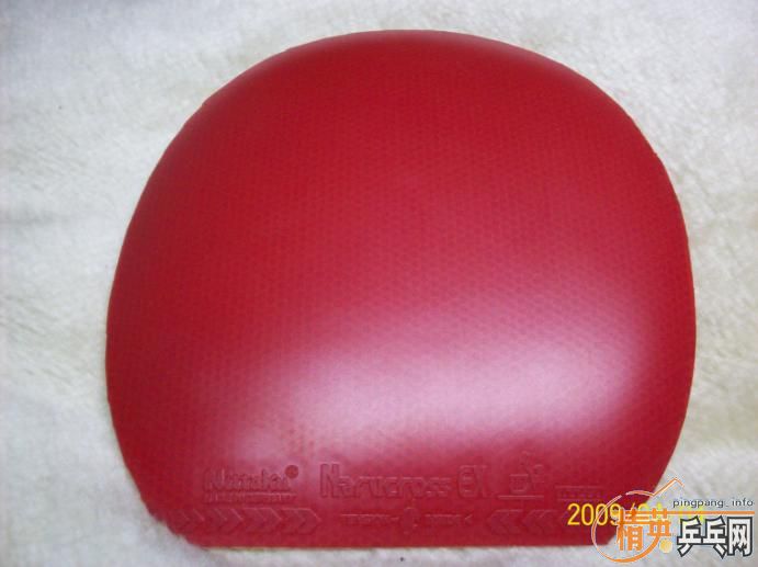 ������塢�׽�����������˵��¶�����������ڣ�