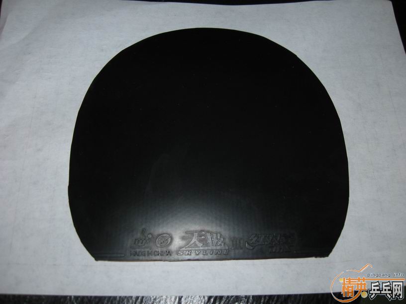 ֧����ת���켫3����1�׽�