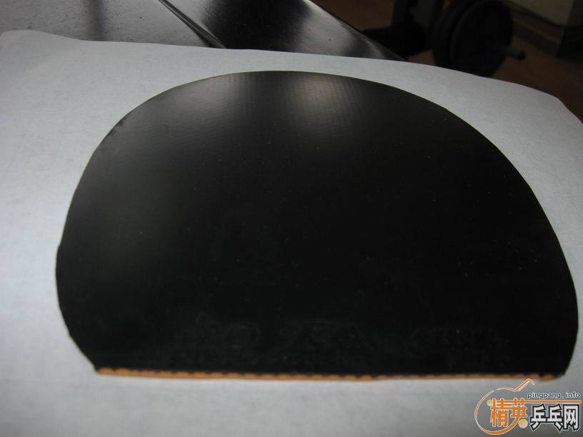 ֧����ת���켫3����1�׽�