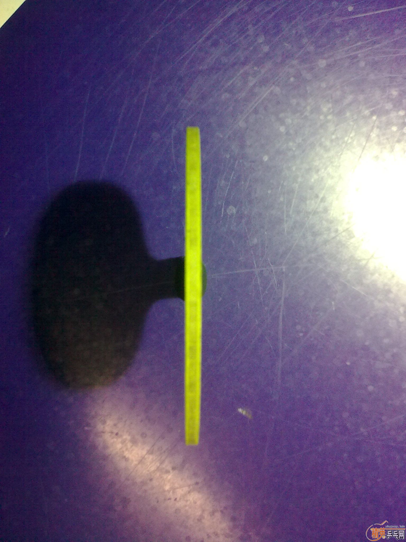 ��9���µĺ�������ZLF����������PRO������