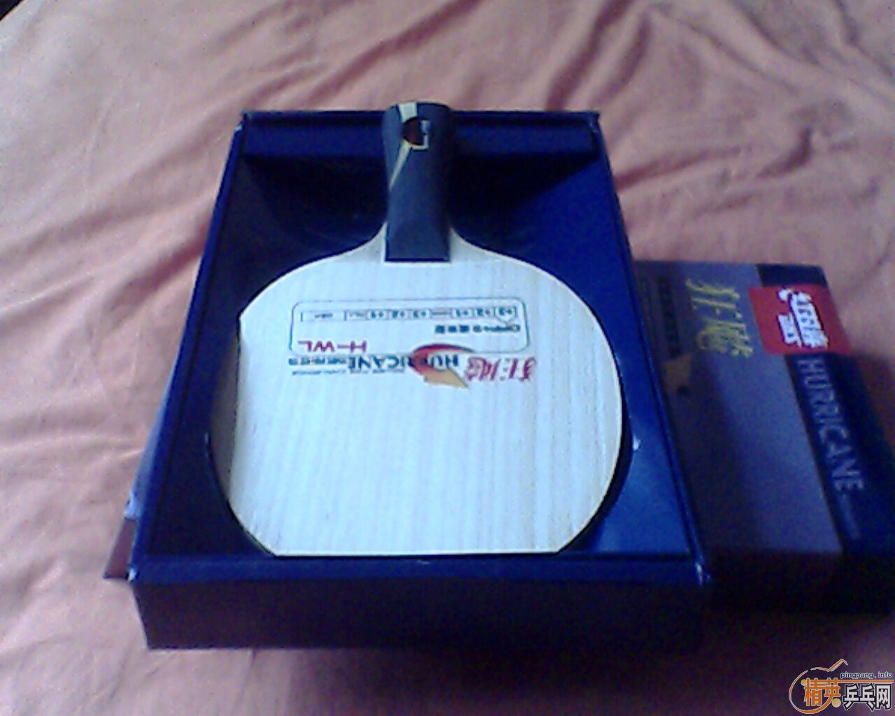 ��ƷH-WL    260����