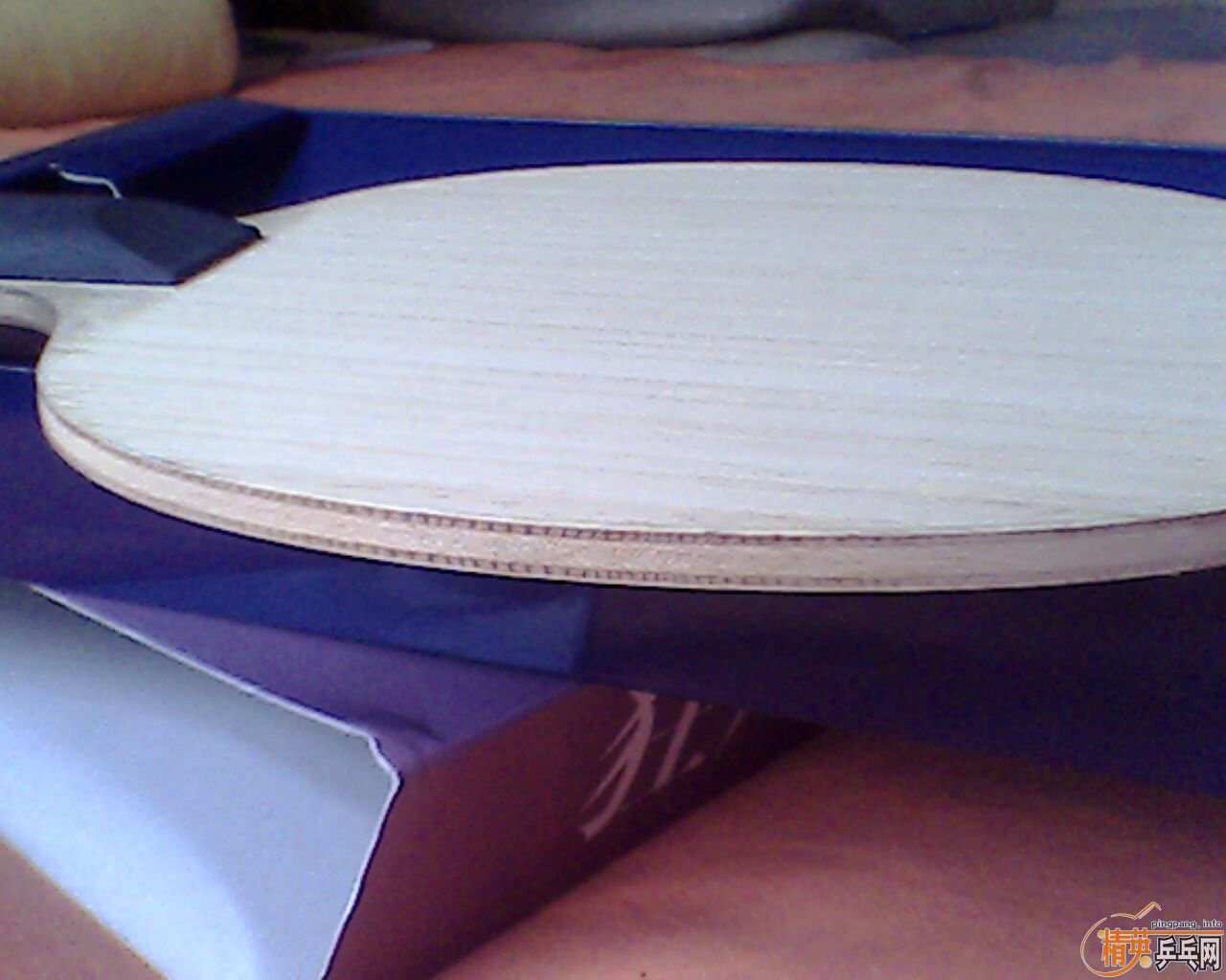 ��ƷH-WL    260����