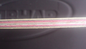 [ԭ��]700���л�98�� ������̼��