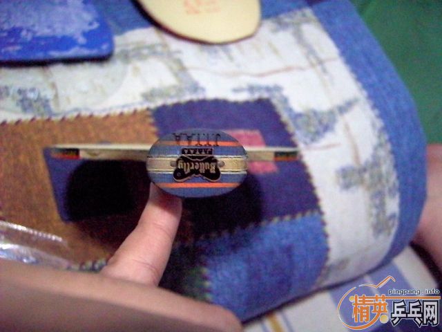 ��ȫ��������Boll��450���������������׽�������Ҳ��ӭ�ﶥ