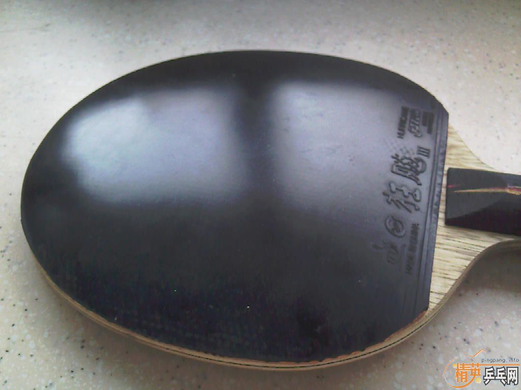 yo flŷ�����������260���ʣ���֧����