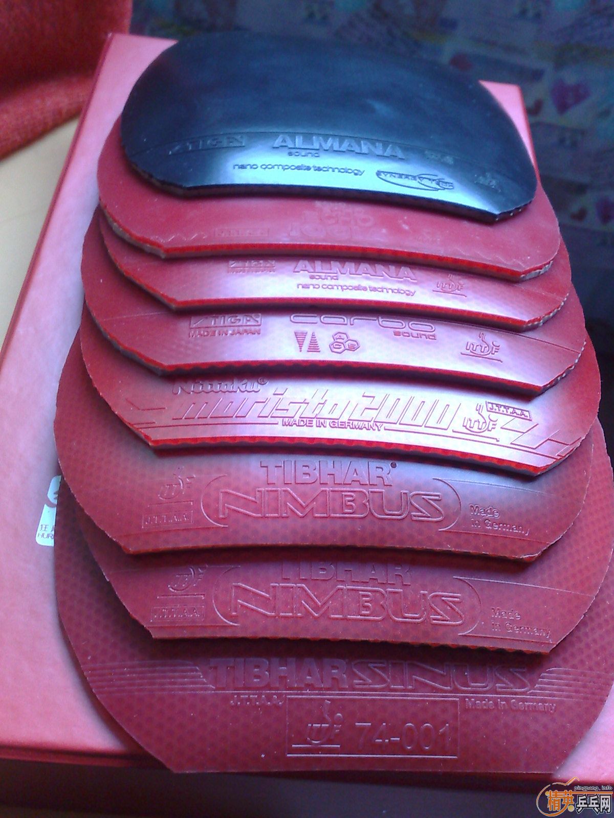 ___����ʮ�飩�����׽�ר������ȫ�������ݳ�Ʒ����Ѫ��___