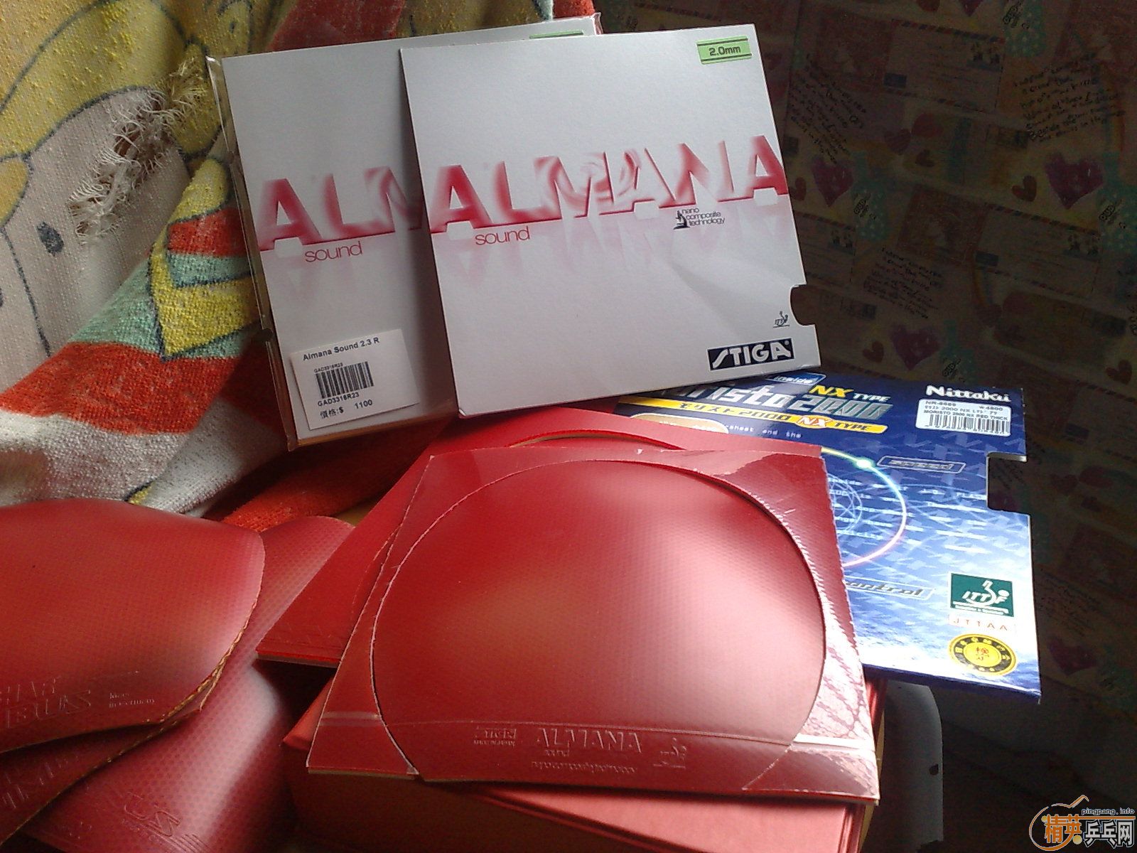 ___����ʮ�飩�����׽�ר������ȫ�������ݳ�Ʒ����Ѫ��___