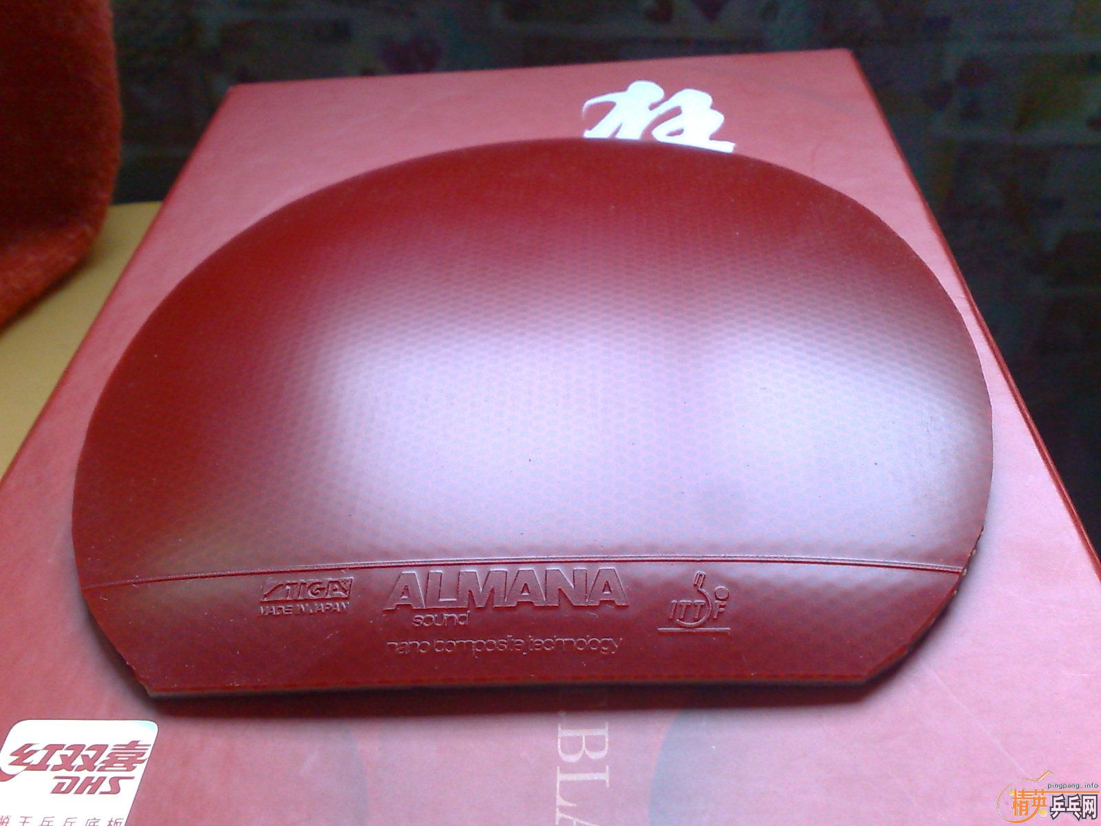 ___����ʮ�飩�����׽�ר������ȫ�������ݳ�Ʒ����Ѫ��___