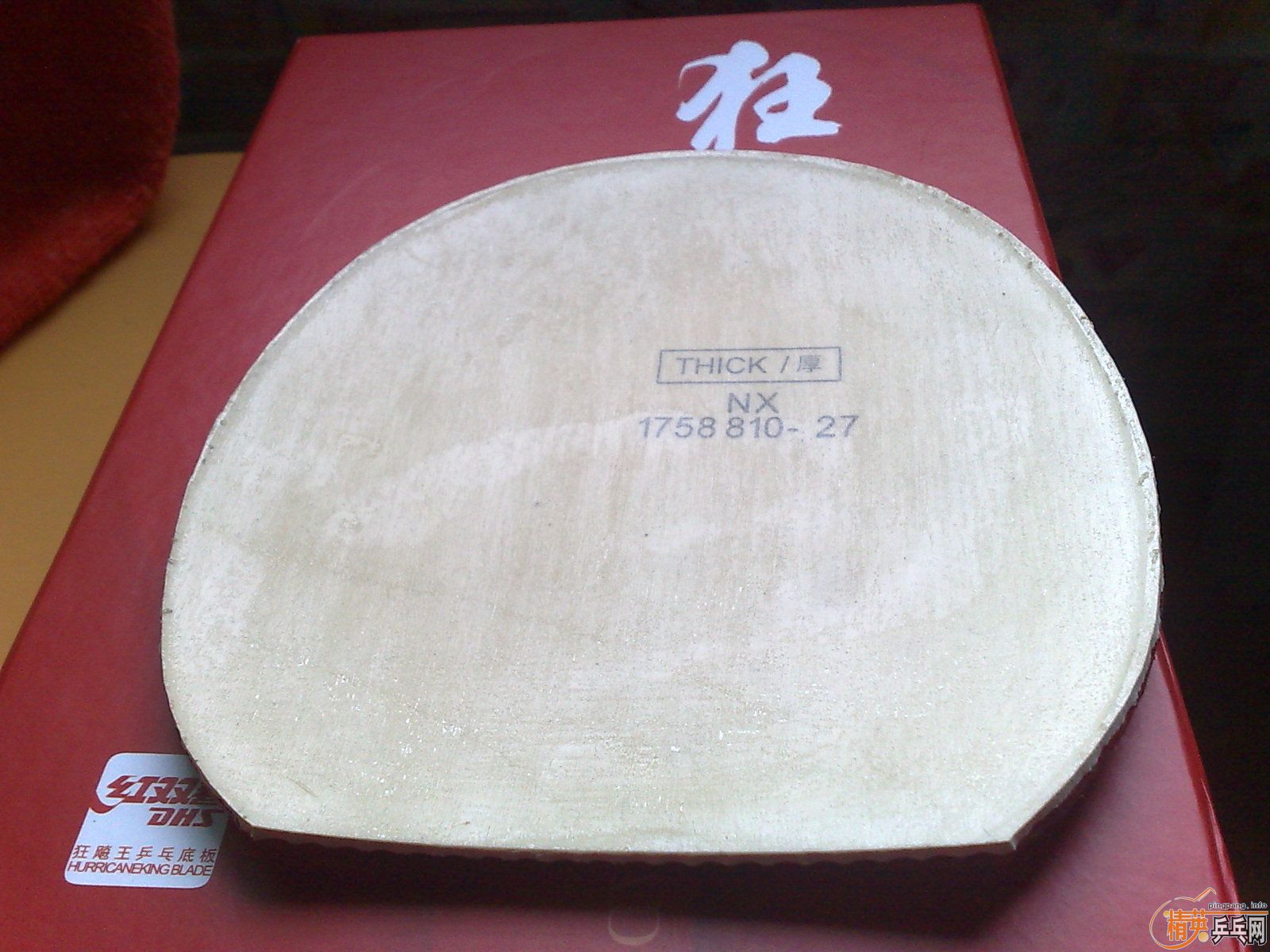 ___����ʮ�飩�����׽�ר������ȫ�������ݳ�Ʒ����Ѫ��___