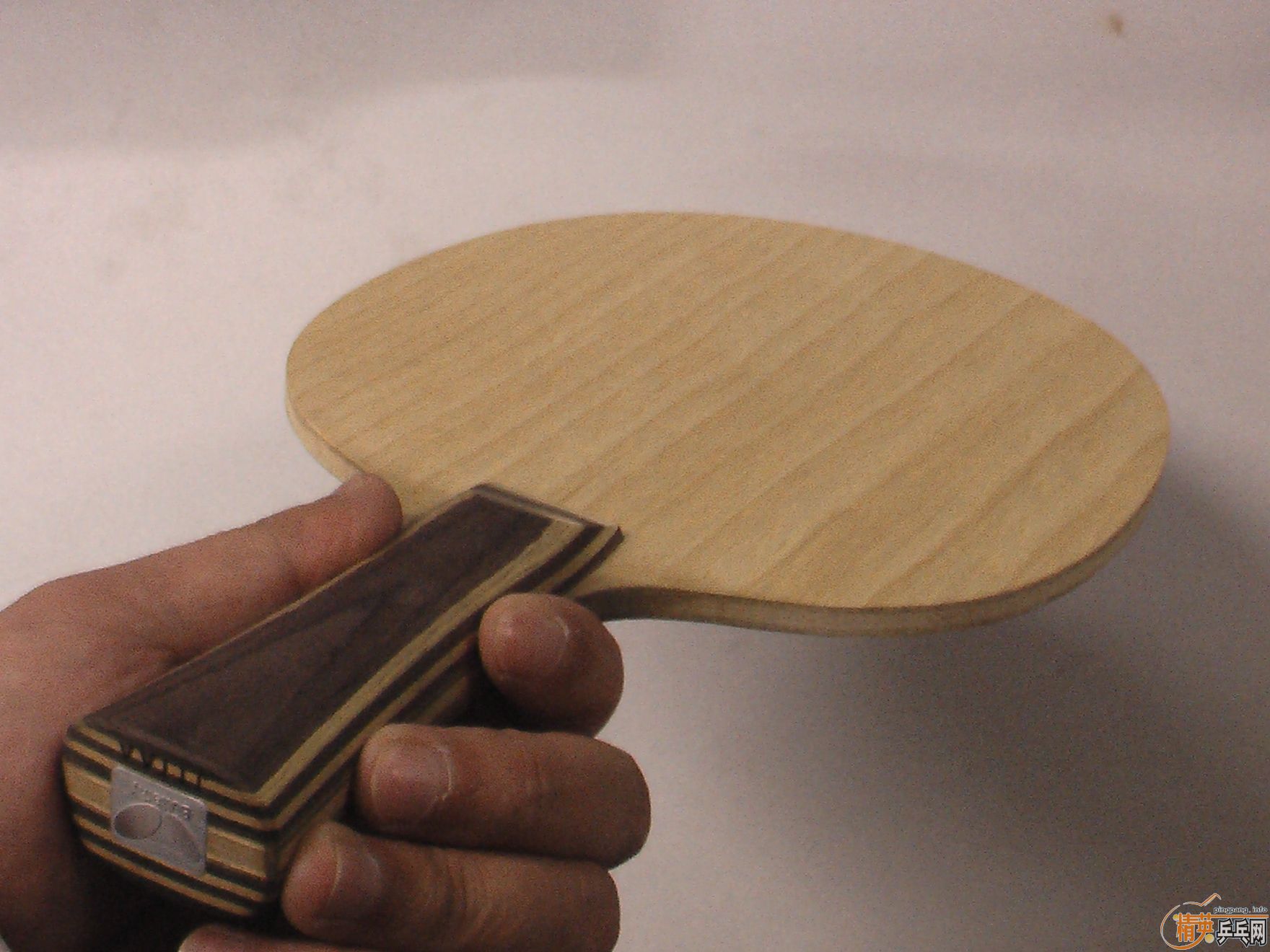 �����Ʊ���