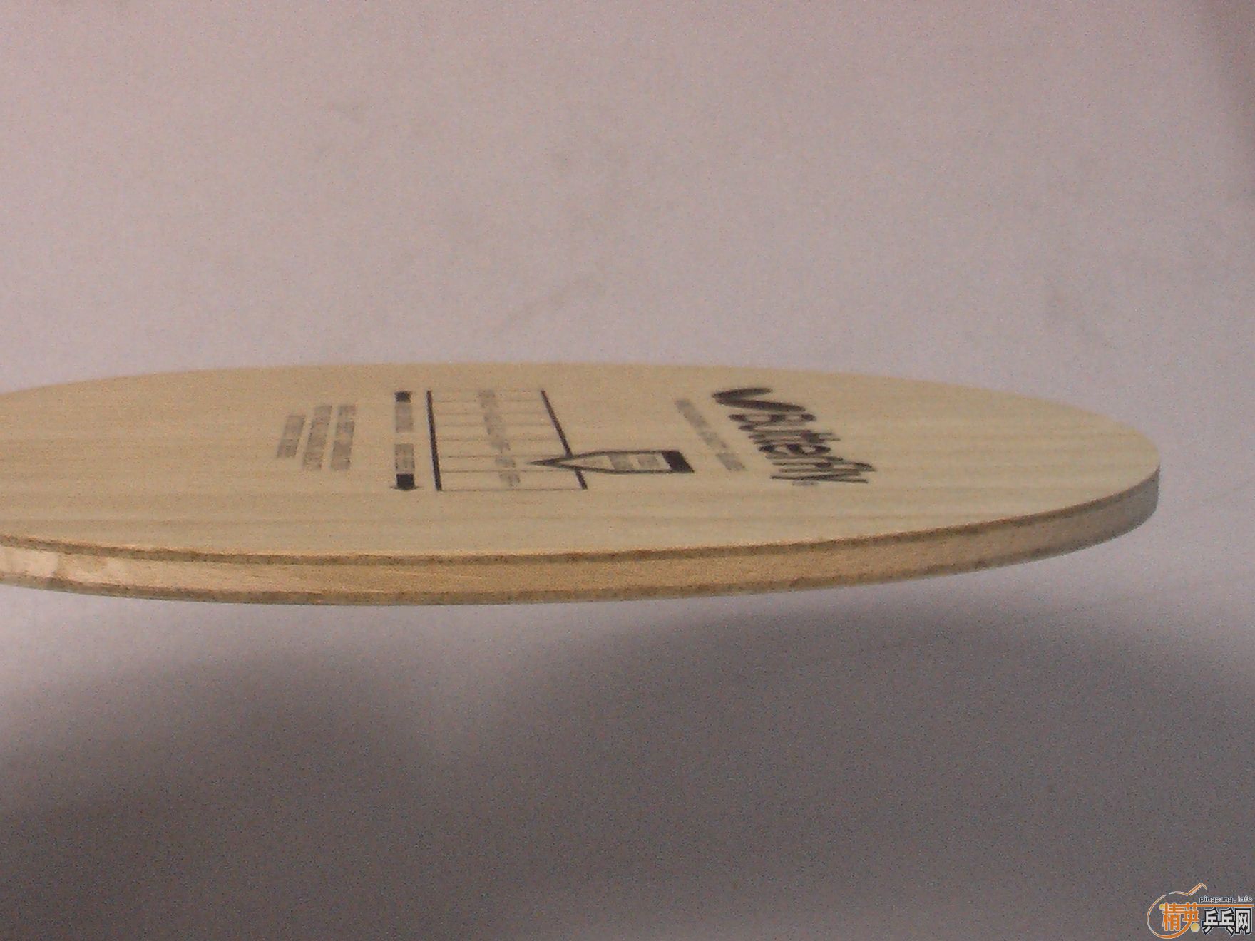 �����Ʊ���