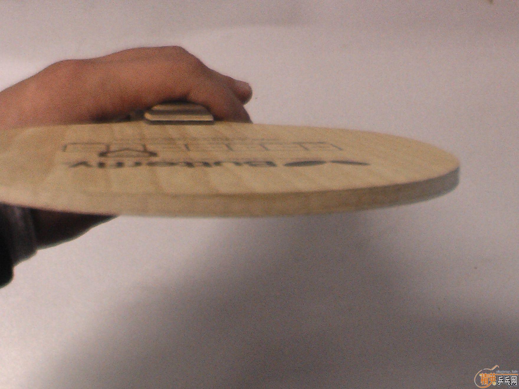 �����Ʊ���