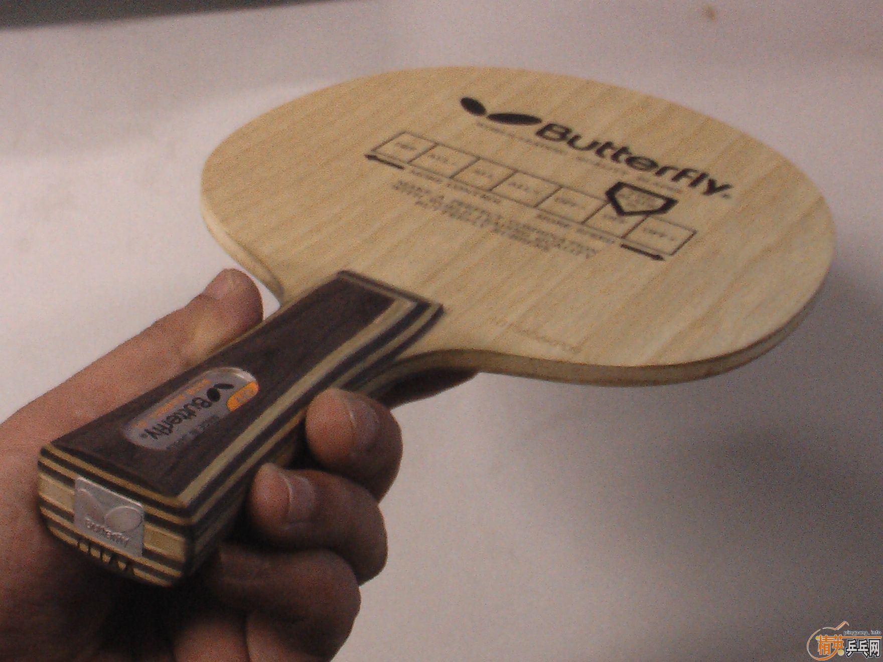 �����Ʊ���