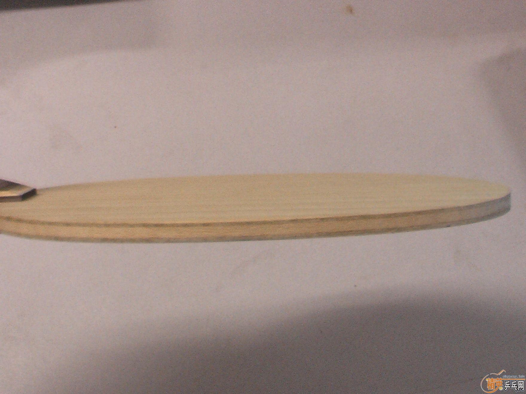 �����Ʊ���