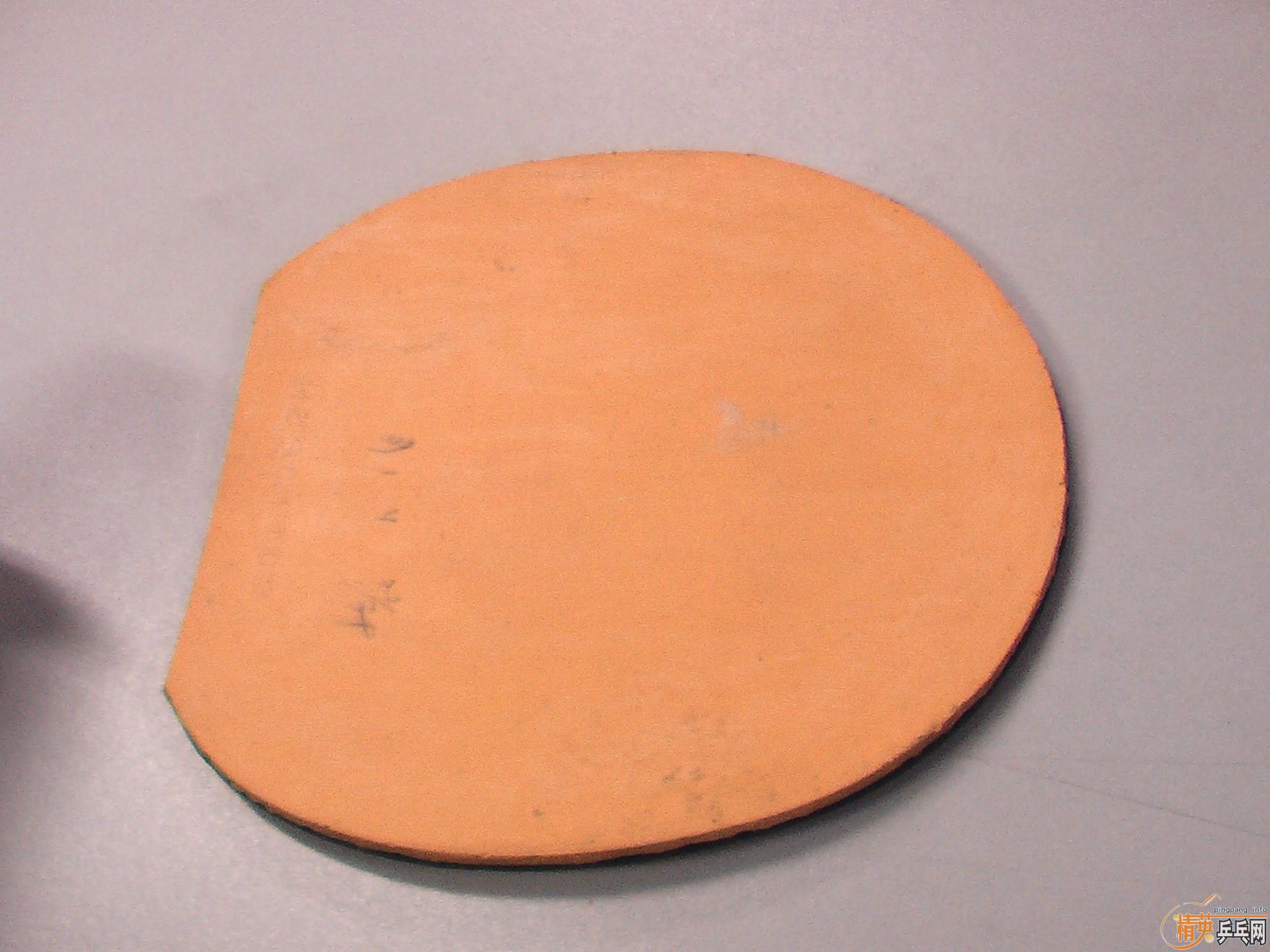 �����Ʊ���