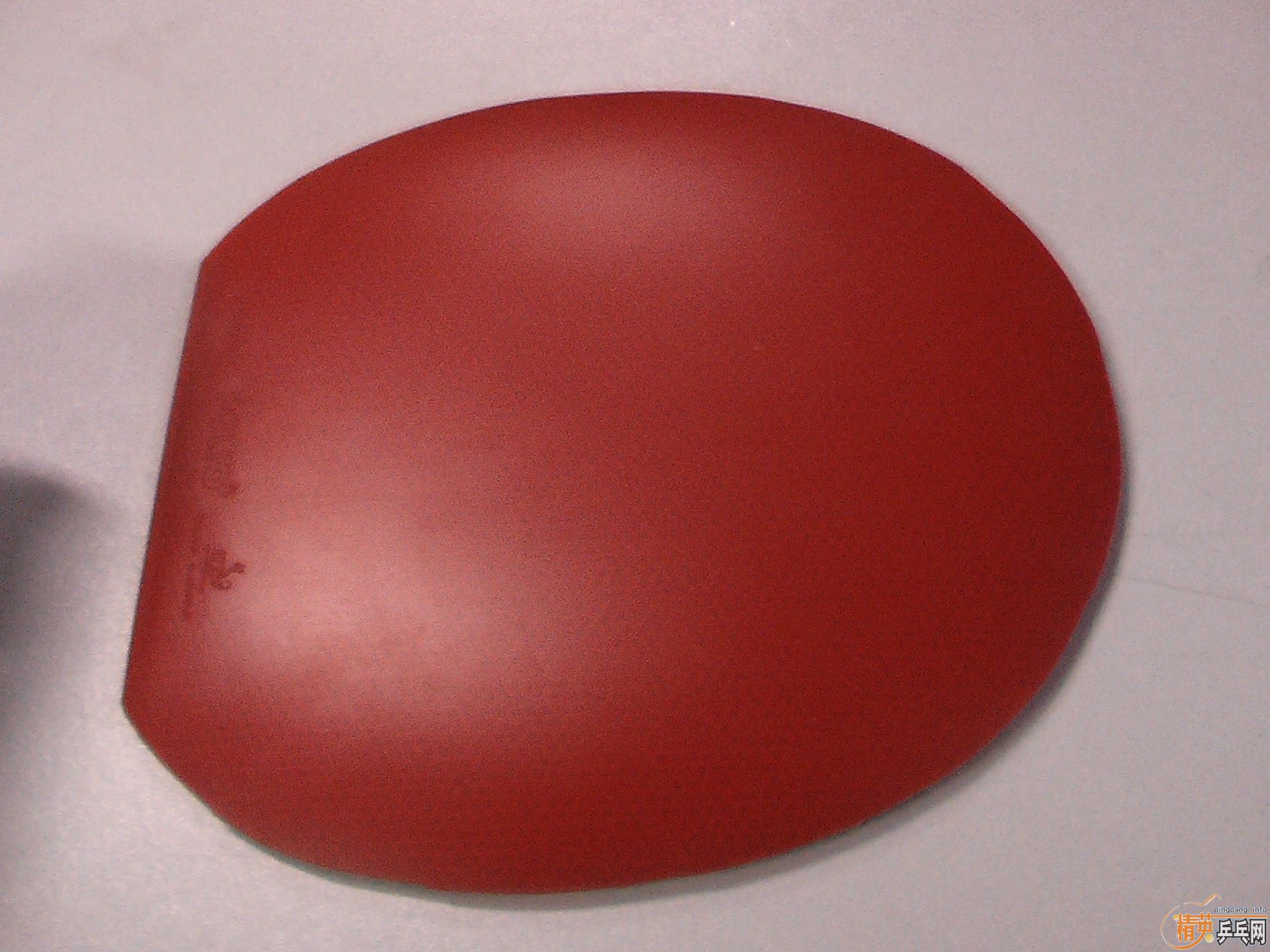 �����Ʊ���