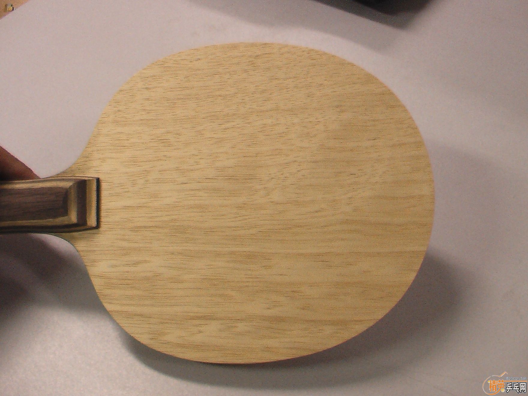 �����Ʊ���