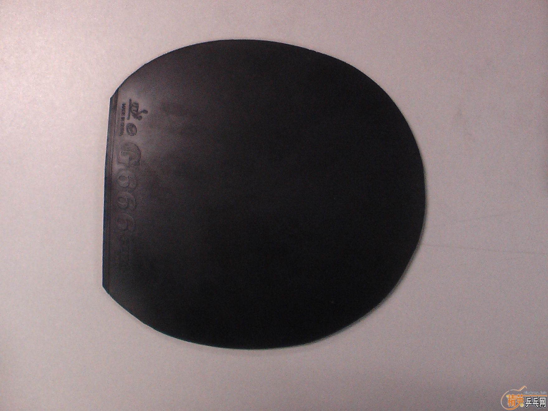 �����Ʊ���