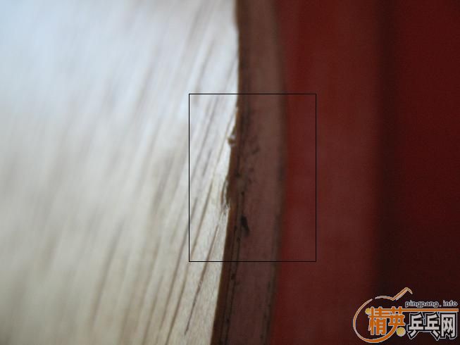 �ͼ۳���Ȧ������������ľ������550����