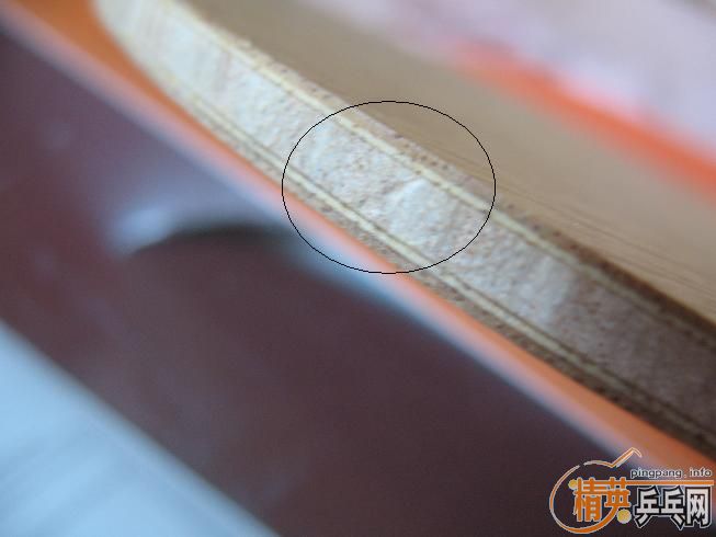 �ͼ۳���Ȧ������������ľ������550����