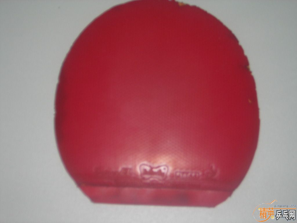 ������EL��������ZAP��ը��ħ���׽�����֧������