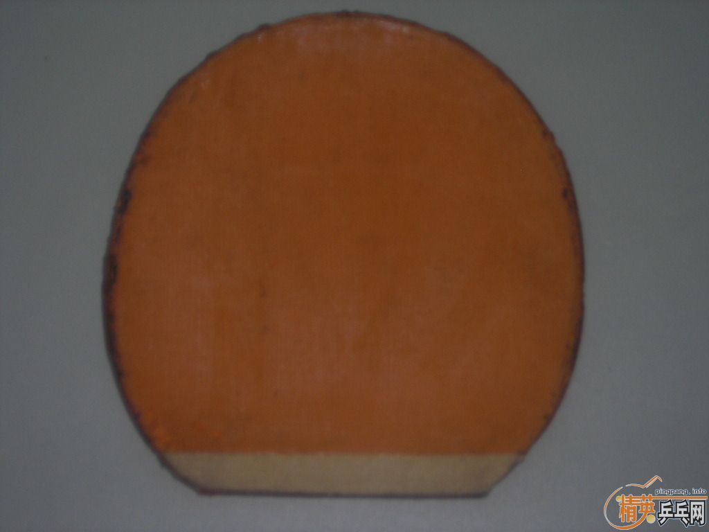 ������EL��������ZAP��ը��ħ���׽�����֧������