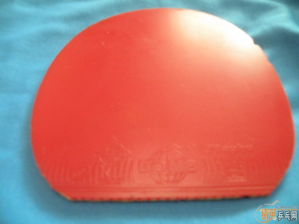 ������EL��������ZAP��ը��ħ���׽�����֧������