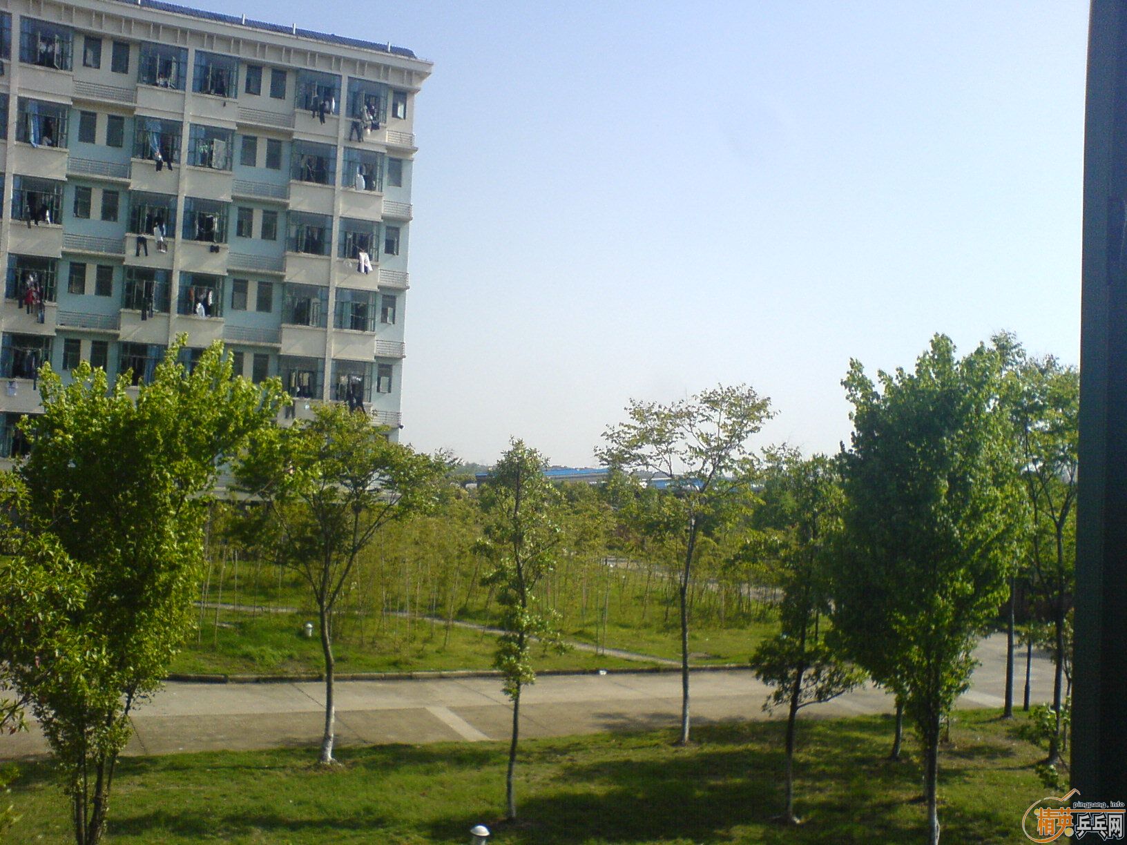 �����ֻ�������