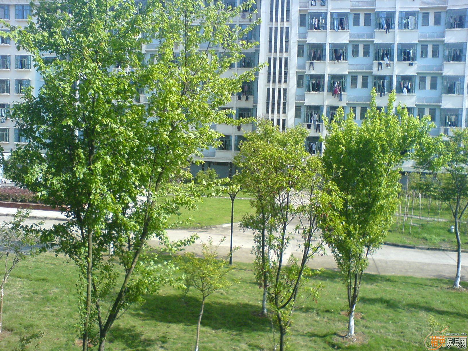 �����ֻ�������