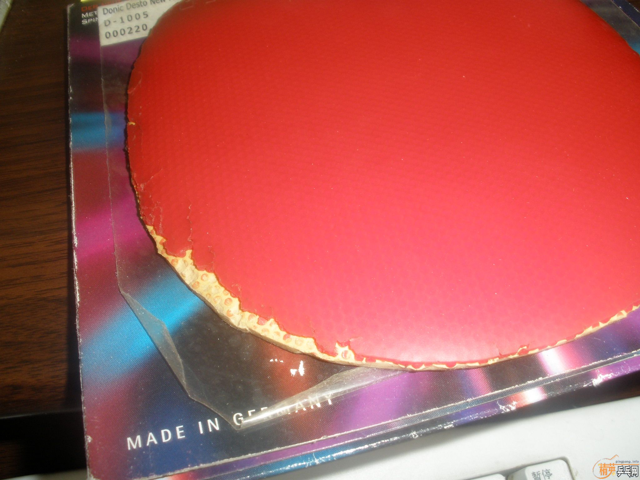 �����������ֽ�Ƥ