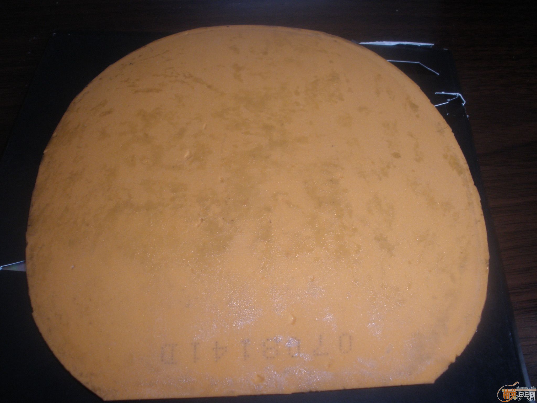 �����������ֽ�Ƥ