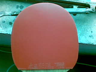 ��ʣ��41���տ������������տ����һ������ Ҫ�ľ���