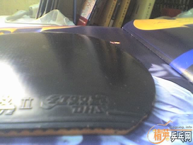 ���켫2�׽����ڣ��ͺ�����㣨XL��-->yanxin270ת��