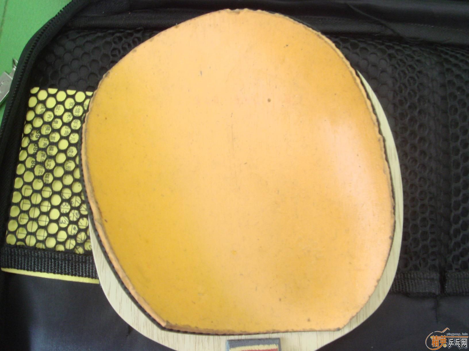 ��EL,JOOLA TANGO ,CATAPULT,����