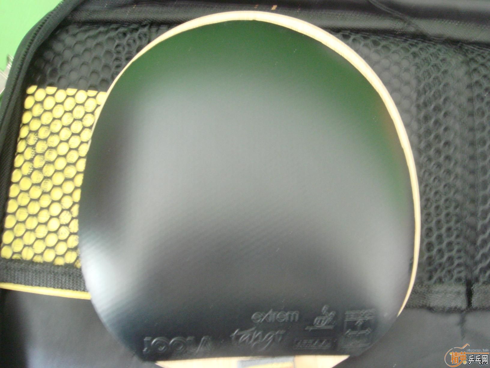 ��EL,JOOLA TANGO ,CATAPULT,����