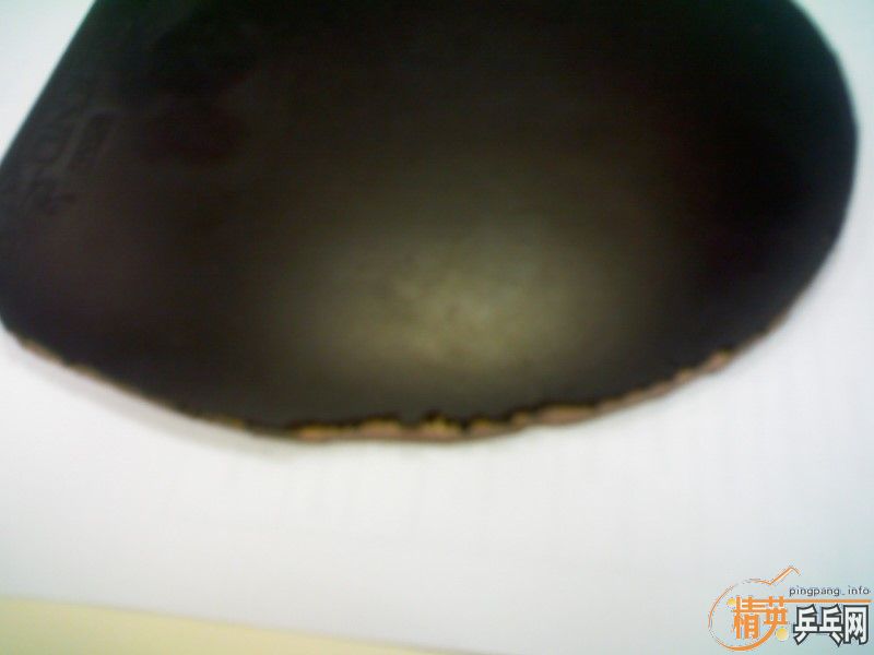 ��ɫ nittaku hammond  �غ� 80Ԫ����ݣ�