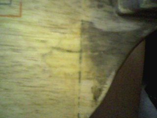 ��һ���Ʊ���