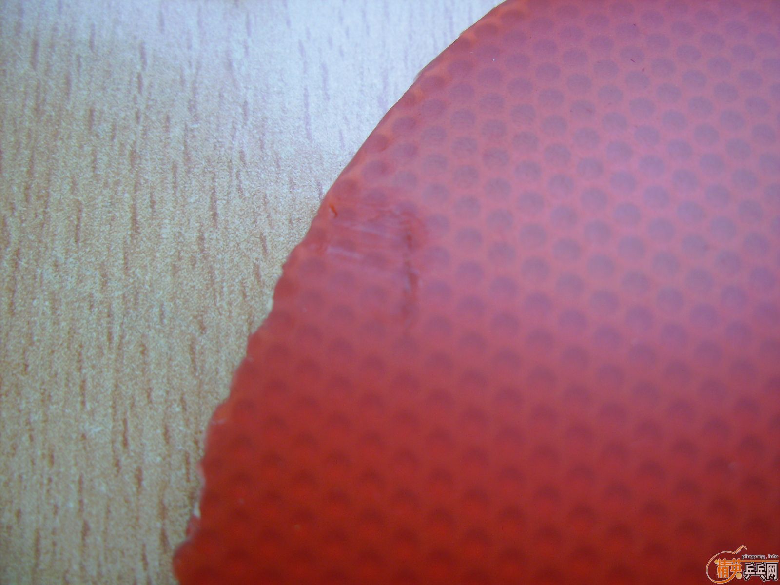 ����ͺ�tackfire c