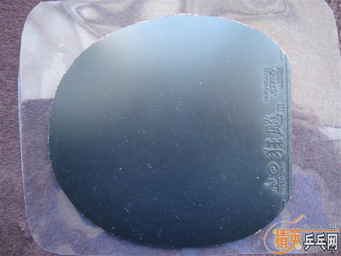 06��ʡ��40��