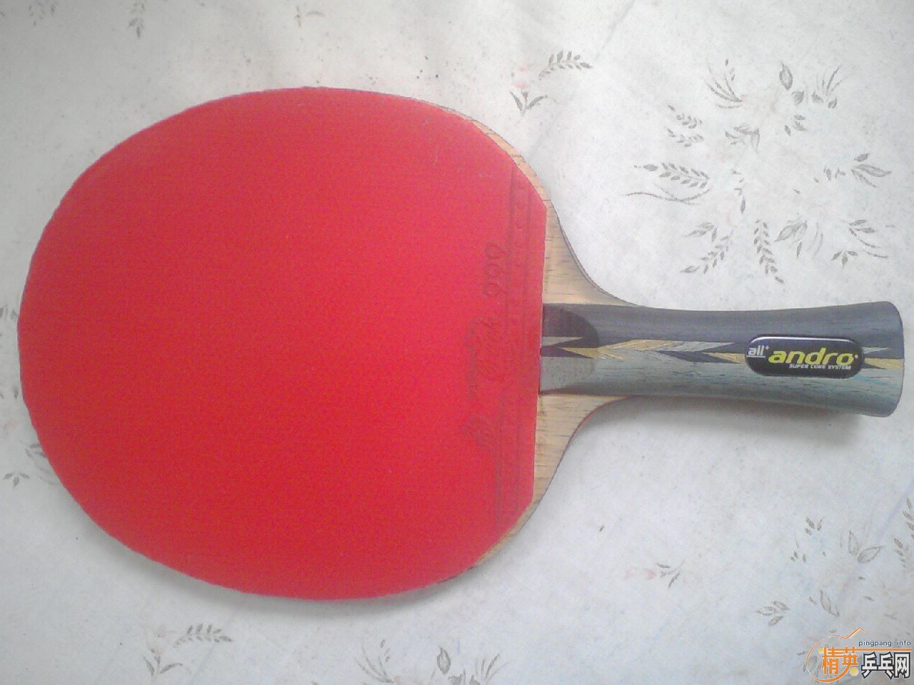 �����Ⱥ��޽�