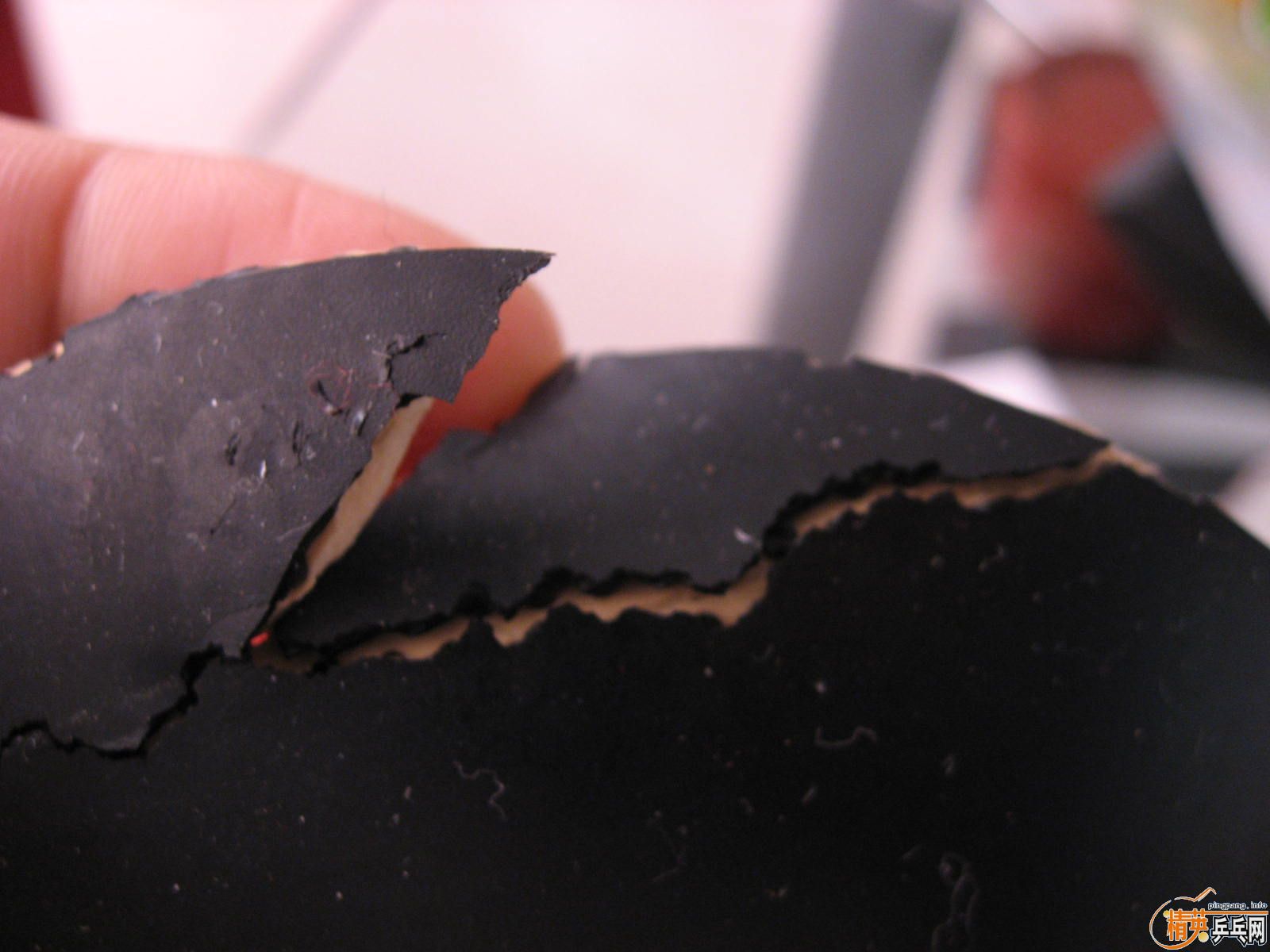 �����Ž�Ƥһ��һ��